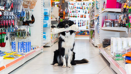 Picture for category PET SUPPLIES