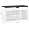 Picture of 31" High Gloss Shoe Bench with Storage EW - White