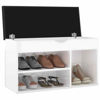 Picture of 31" High Gloss Shoe Bench with Storage EW - White
