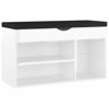 Picture of 31" High Gloss Shoe Bench with Storage EW - White