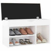 Picture of 31" Shoe Bench with Storage EW - White