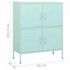 Picture of Steel Storage Cabinet 31" - Mnt