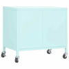 Picture of Steel Storage Cabinet 23" - Mnt