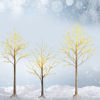 Picture of 4' Christmas Decor Birch Tree with Lights